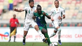 开赛！桐庐上演马术“巅峰对决”（赛事打响！桐庐上演马术巅峰之战）