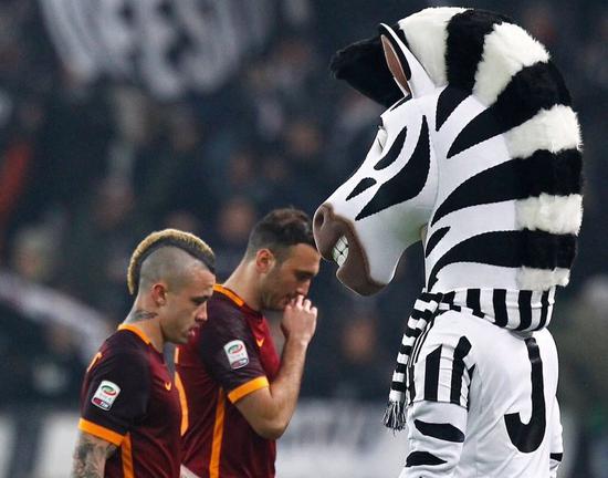 宁波外援表现出色（宁波外援发挥亮眼）